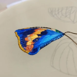 By枯叶之蝶 堆糖 美图壁纸兴趣社区