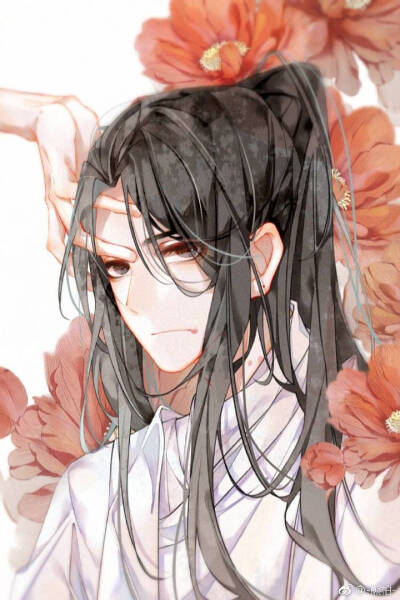 二哈和他的白猫师尊