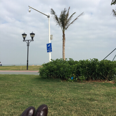 珠海野狸岛
躺草地上吹海风
极其舒服