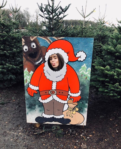 Lily Collins ins
Christmas tree traditions in the countryside!...