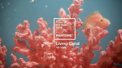 Pantone潘通公布2019年流行色「 Living Coral 珊瑚红