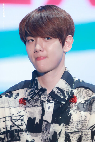 边伯贤BAEKHYUN【更图】181220 0 x Festa with EXO【macaron B】