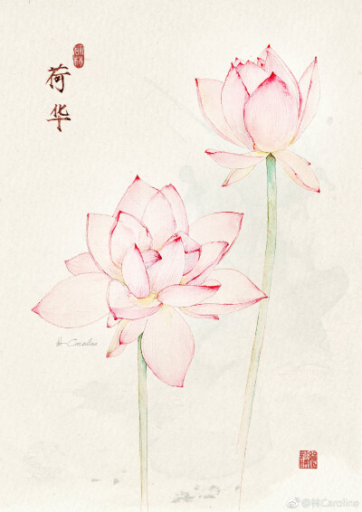 【诗经】四花卉本 作者：林Caroline