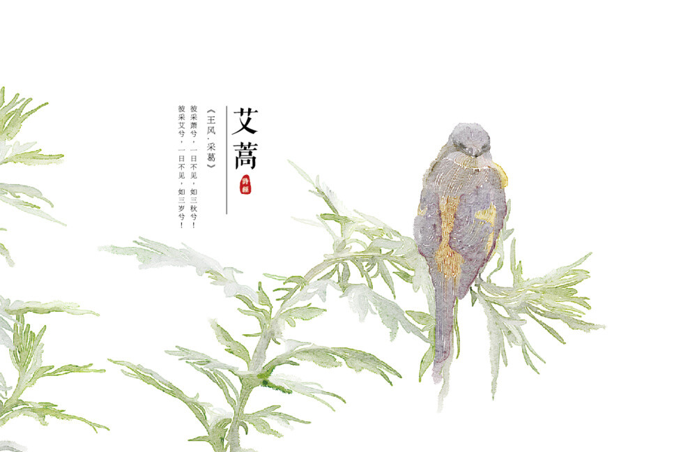 【花间集】作者：秋娘 #诗经植物# 涂鸦