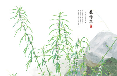 【花间集】作者：秋娘 #诗经植物# 涂鸦