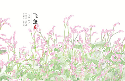 【花间集】作者：秋娘 #诗经植物# 涂鸦