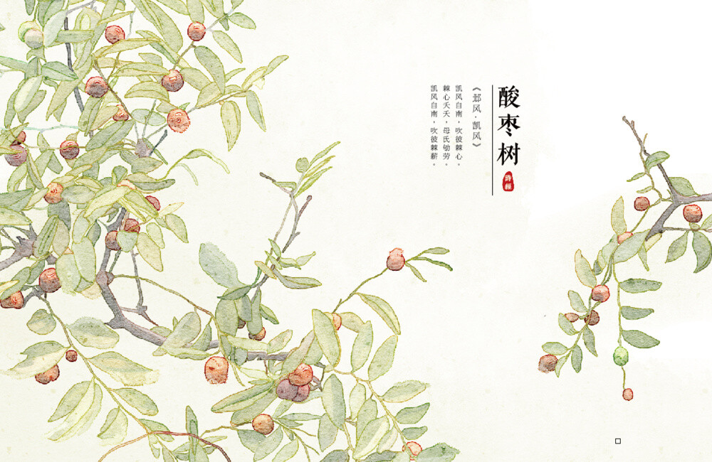 【花间集】作者：秋娘 #诗经植物# 涂鸦