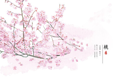 【花间集】作者：秋娘 #诗经植物# 涂鸦