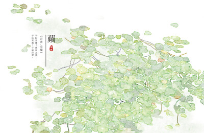 【花间集】作者：秋娘 #诗经植物# 涂鸦