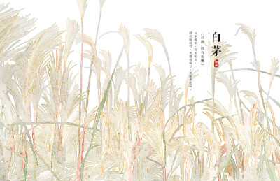【花间集】作者：秋娘 #诗经植物# 涂鸦