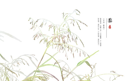 【花间集】作者：秋娘 #诗经植物# 涂鸦