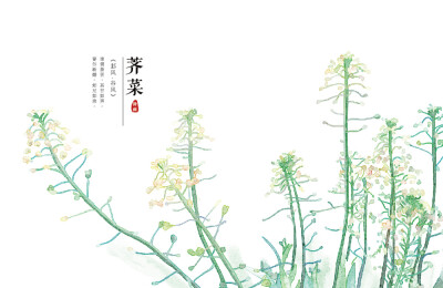 【花间集】作者：秋娘 #诗经植物# 涂鸦