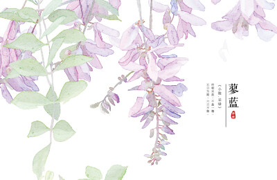 【花间集】作者：秋娘 #诗经植物# 涂鸦