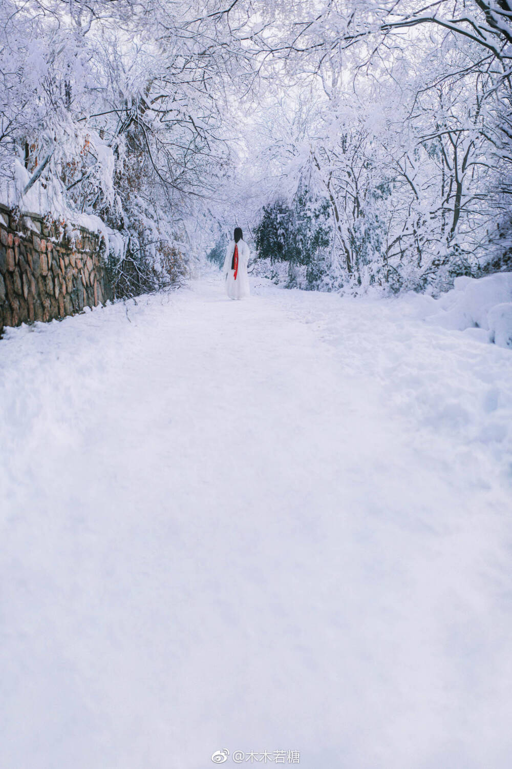 #漢服攝影##上海約拍#
“好想變成雪啊，
這樣便可以落在先生肩上了”
攝影：@木木若糖
出境：@一朵胡蘿卜丶vhv 