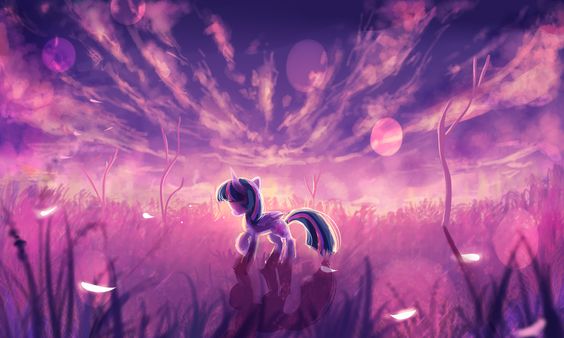 MLP