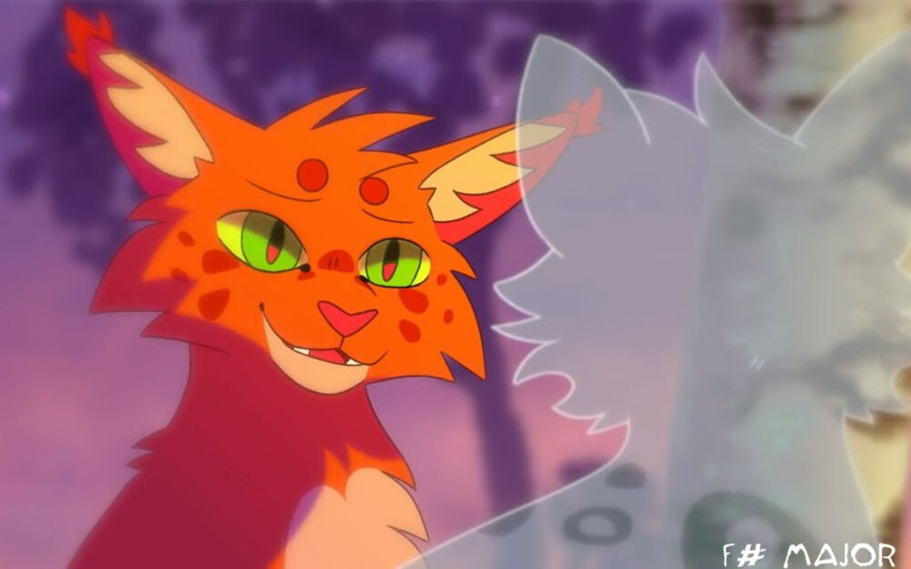 warriors - 堆糖,美图壁纸兴趣社区