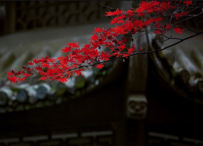 秋日游古寺，秋山正苍苍。石门吐明月，竹木涵清光。中夜河沈沈，但闻松桂香。旷然出尘境，忧虑澹已忘。—— 王武陵 《宿慧山寺》