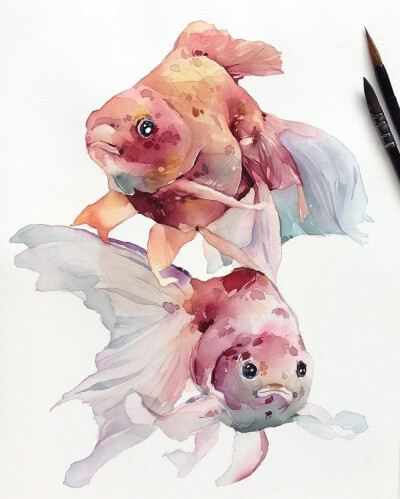 水彩 动物绘画 鱼 插画师ins@kadantseva_natalia