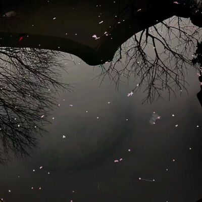 #今日份背景#
灯关了 我可以哭了吗
楚君璃 | 顾辞.