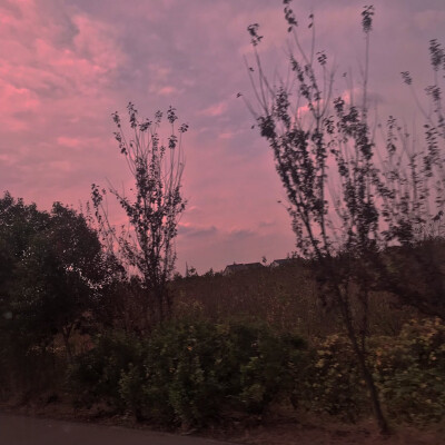 #今日份背景#
灯关了 我可以哭了吗
楚君璃 | 顾辞.