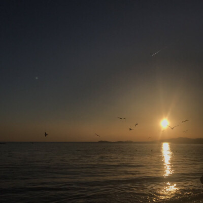 #今日份背景#
灯关了 我可以哭了吗
楚君璃 | 顾辞.