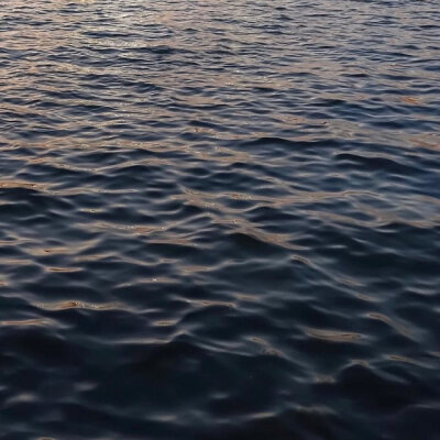 #今日份背景#
灯关了 我可以哭了吗
楚君璃 | 顾辞.