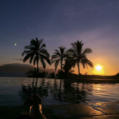 #今日份背景#
灯关了 我可以哭了吗
楚君璃 | 顾辞.