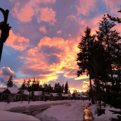 #今日份背景#
灯关了 我可以哭了吗
楚君璃 | 顾辞.