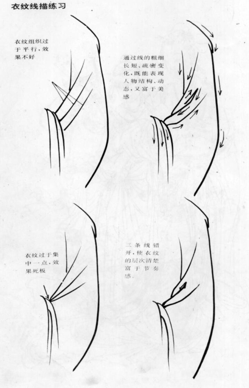 工笔花鸟技法国画