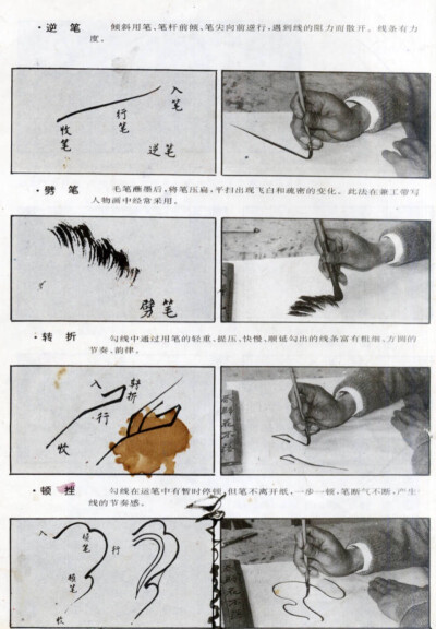 工笔花鸟技法国画