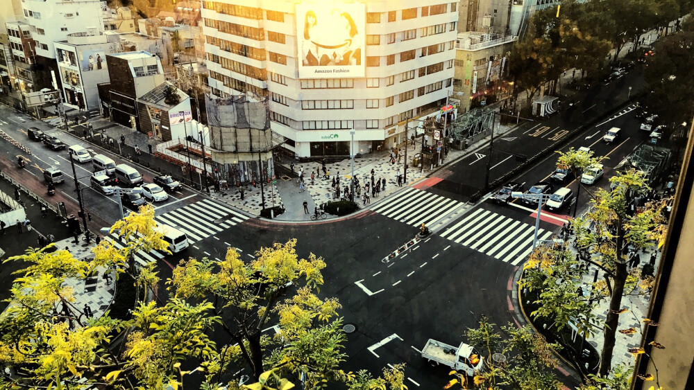 从银座～到新宿～迷失，偶然到了明治神宫。祈愿平安！看到了镰仓的风景！一切的美好皆因心中的自由。