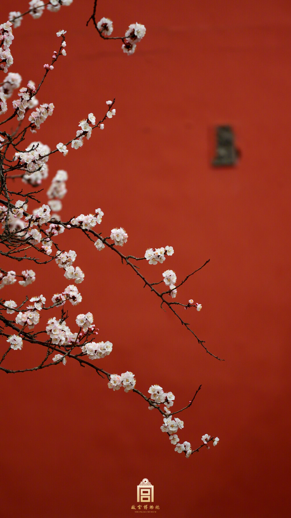 宫城二月杏花天 故宫博物院