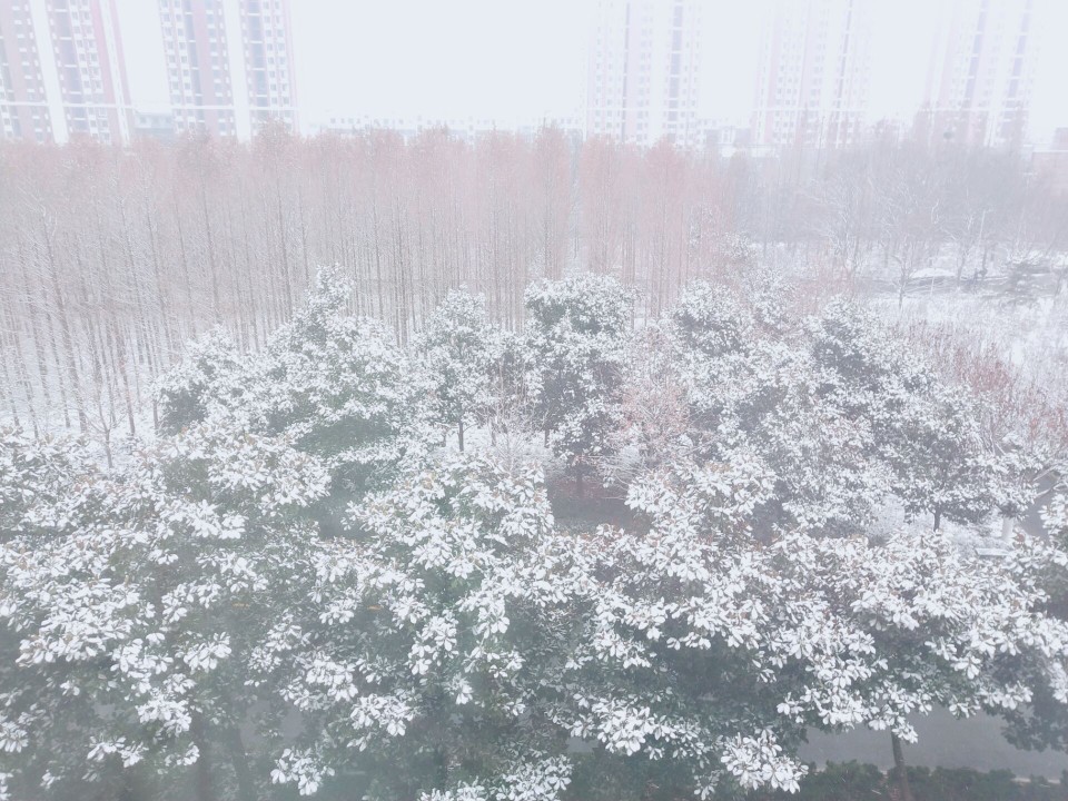 雪