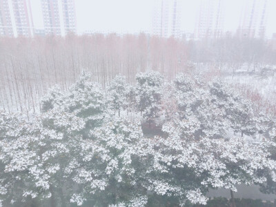 雪