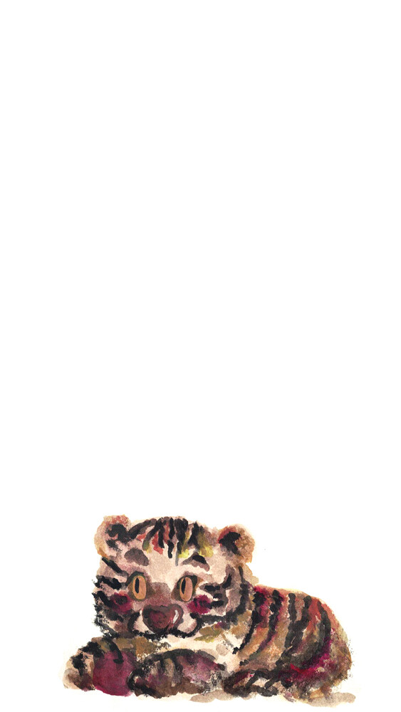 卡通猫头鹰，小熊猫，大猫，老虎，白虎，tora