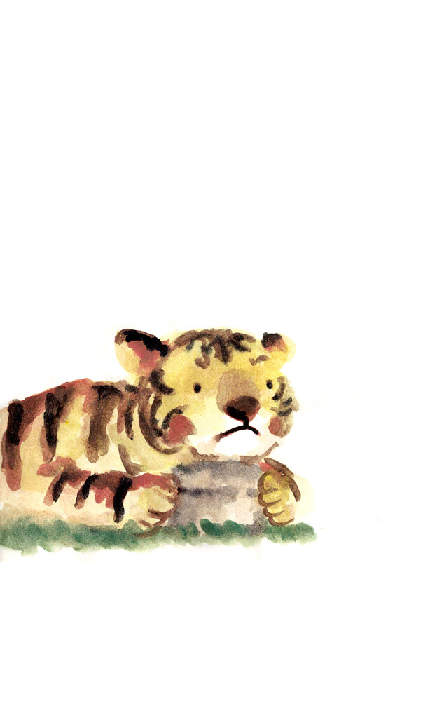 卡通猫头鹰，小熊猫，大猫，老虎，白虎，tora