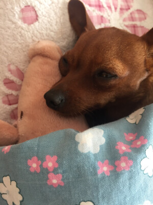 好想好想你，我如今回不了家，你要开开心心的，乖乖吃饭