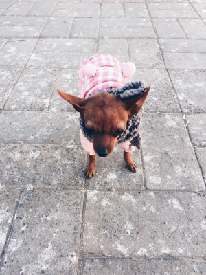 好想好想你，我如今回不了家，你要开开心心的，乖乖吃饭