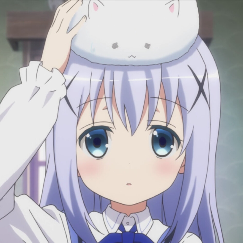 #请问您今天要来点兔子吗？# 香风智乃