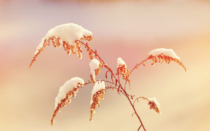 【 今日 · 冬至 … 】--- “ 冬至节亦称冬节、交冬。它既是二十四节气之一，是中国的一个传统节日，曾有“冬至大如年”的说法，古人对冬至写到：阴极之至，阳气始生，日南至，日短之至，日影长之至，故曰“冬至”。