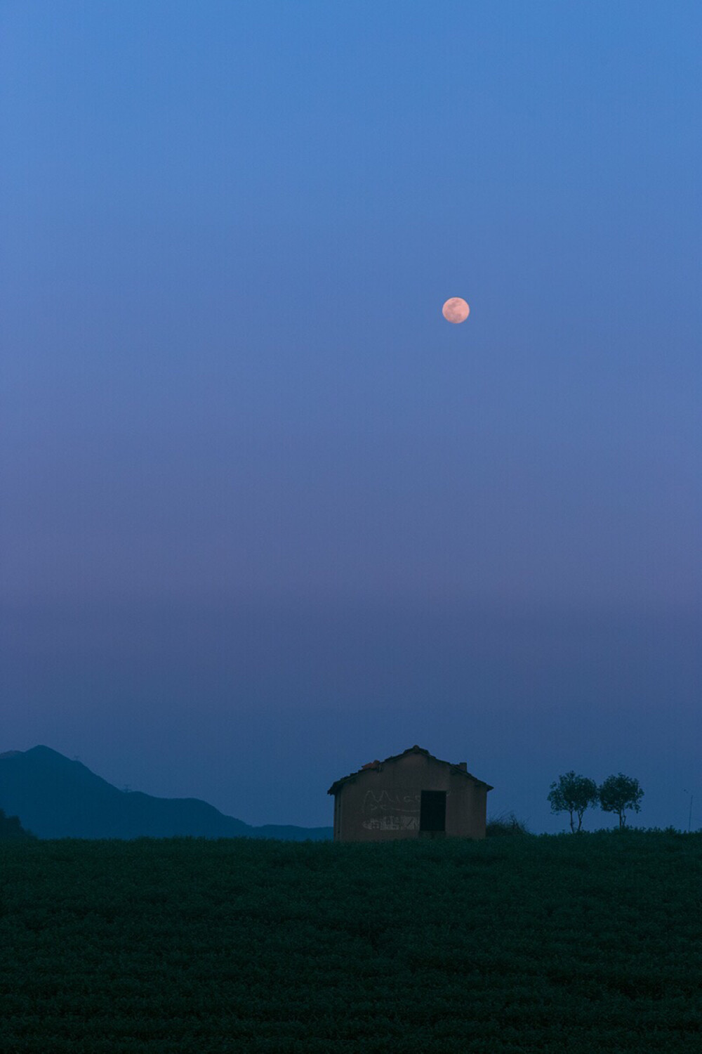 背景
