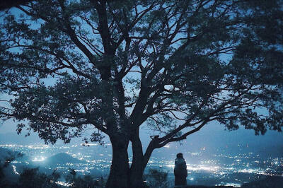 故人笑比中庭树，一日秋风一日疏。——杨绛《将饮茶》