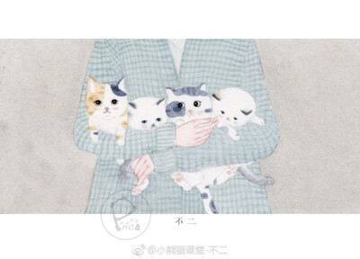 小熊猫课堂 不二老师作品
