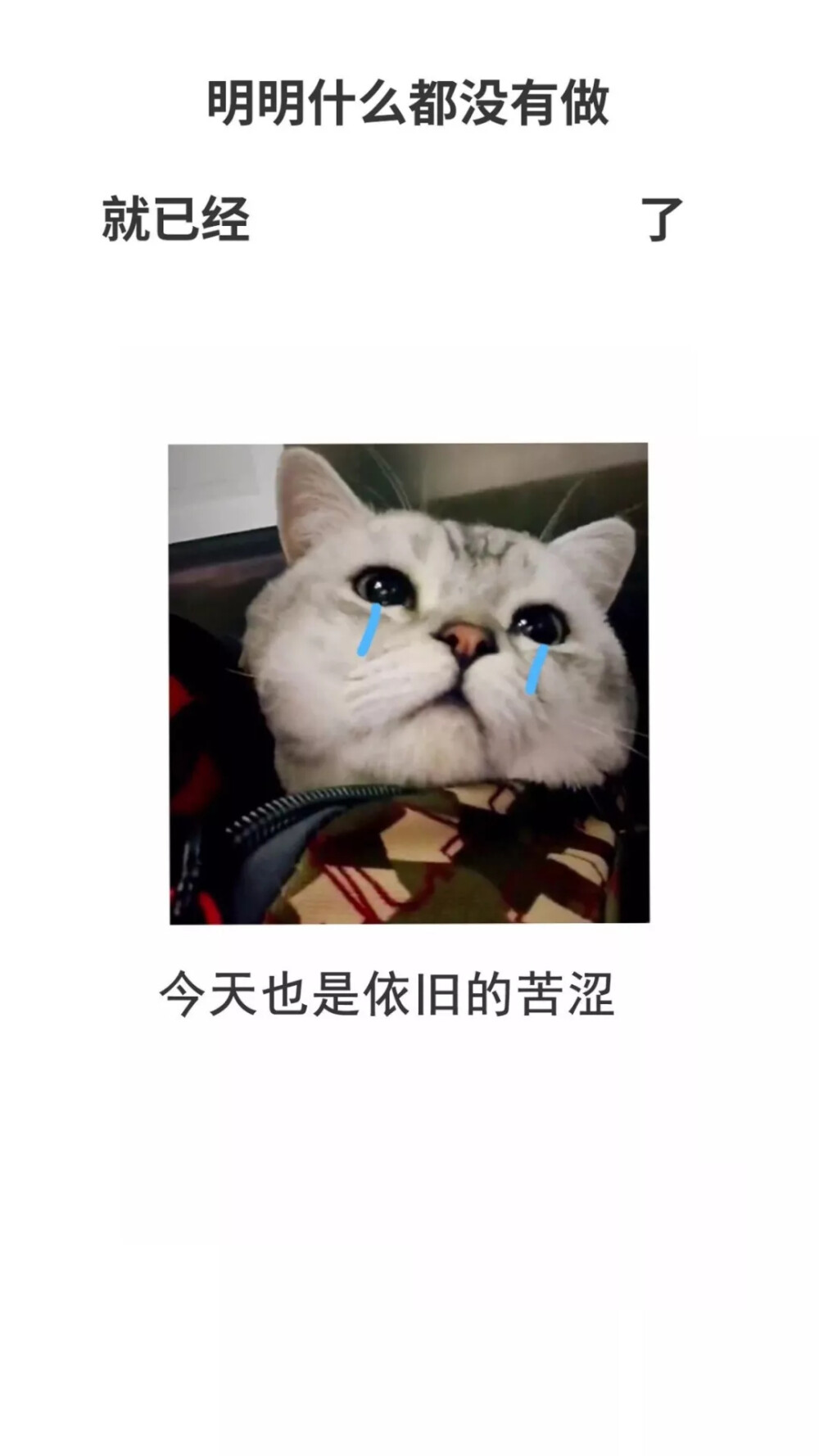 明明什么都没做，就已经……了