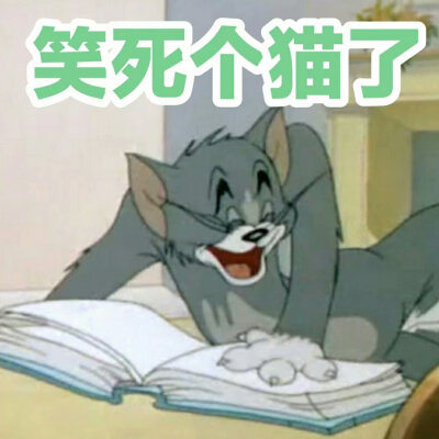 猫和老鼠表情包