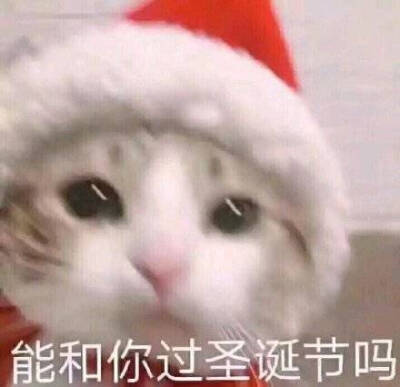 在吗