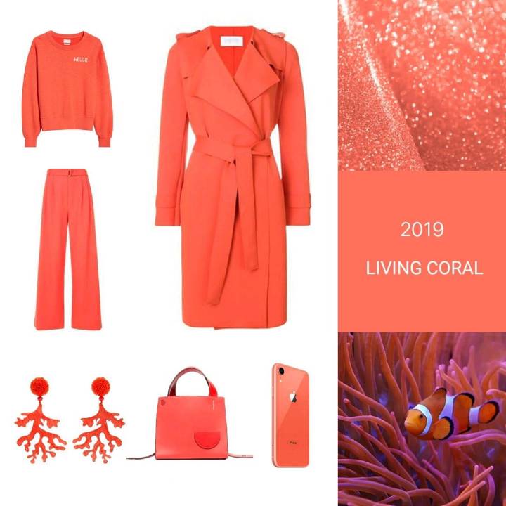 2019年「Pantone流行色」出炉！
充满活力生命力的珊瑚橙
（Living Coral，色号PANTONE 16-1546）
明年的色调以红色和橘红色为主。其中，明年年度流行色将是 Living Coral活力珊瑚色！