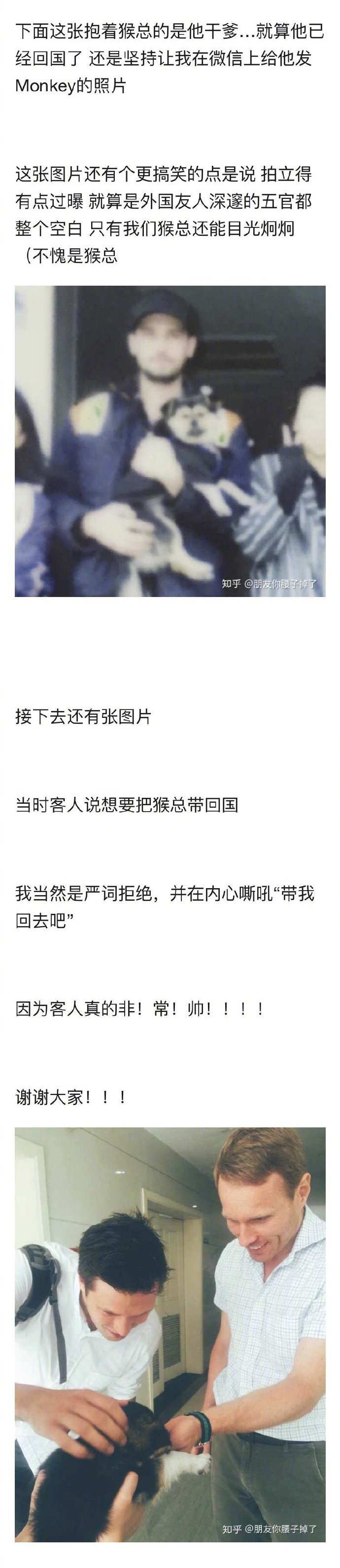 土狗到底有多可爱？前方高萌。