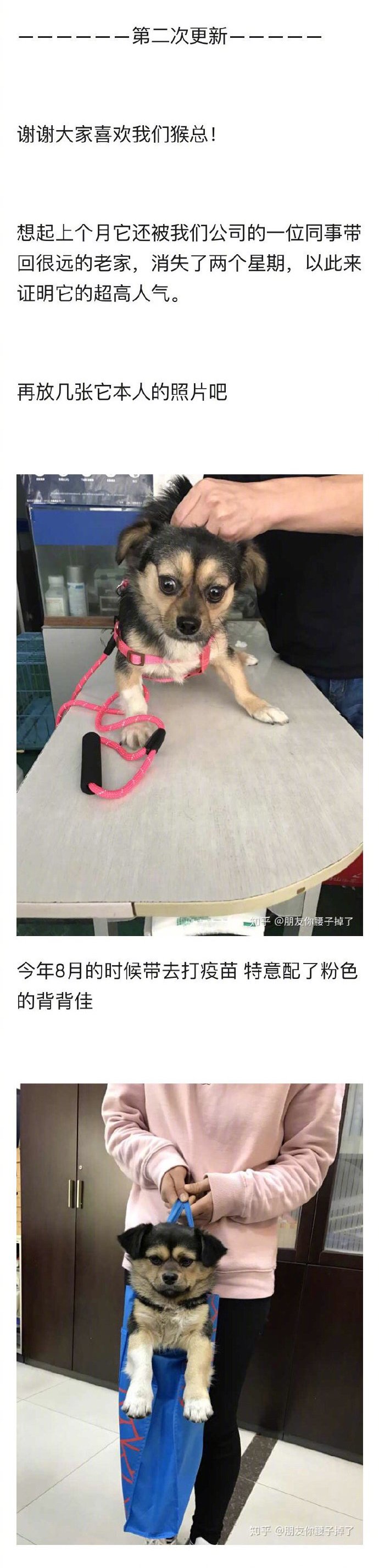 土狗到底有多可爱？前方高萌。