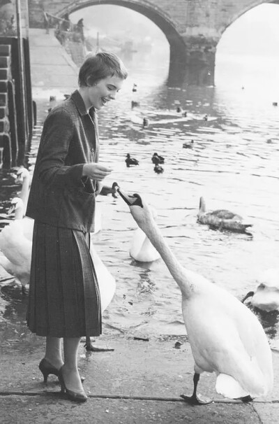 珍茜宝
Jean Seberg 1938-1979年
美国女演员